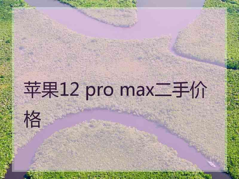 苹果12 pro max二手价格