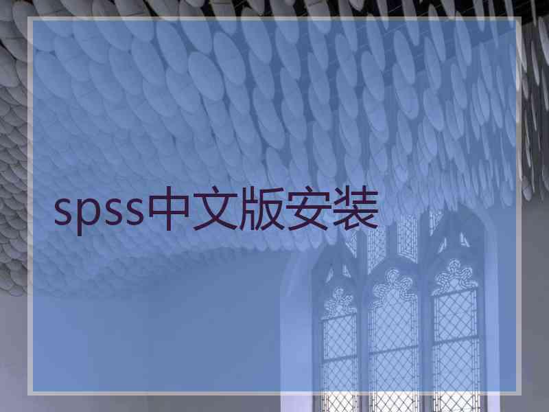 spss中文版安装