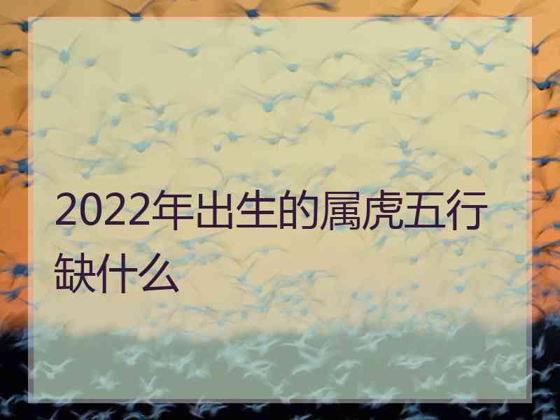 2022年出生的属虎五行缺什么