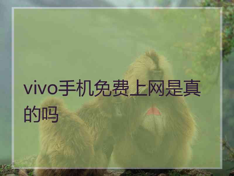 vivo手机免费上网是真的吗