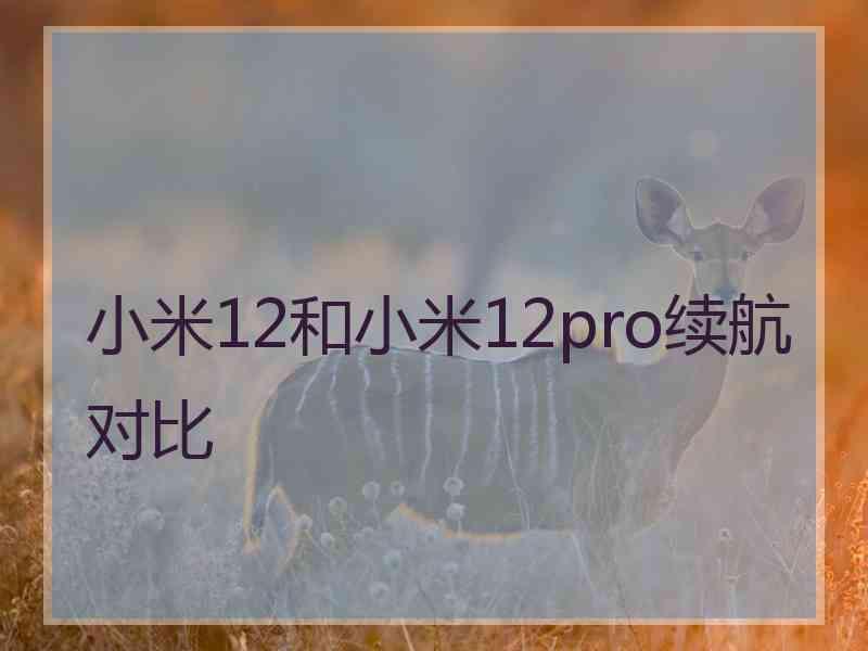 小米12和小米12pro续航对比