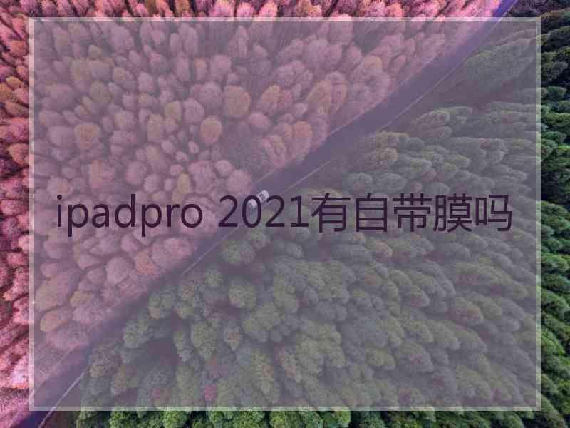 ipadpro 2021有自带膜吗