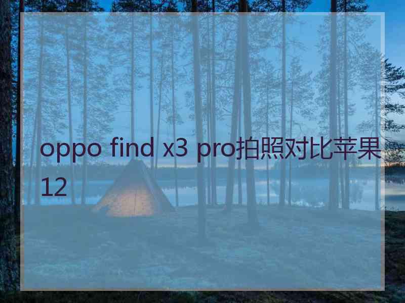 oppo find x3 pro拍照对比苹果12