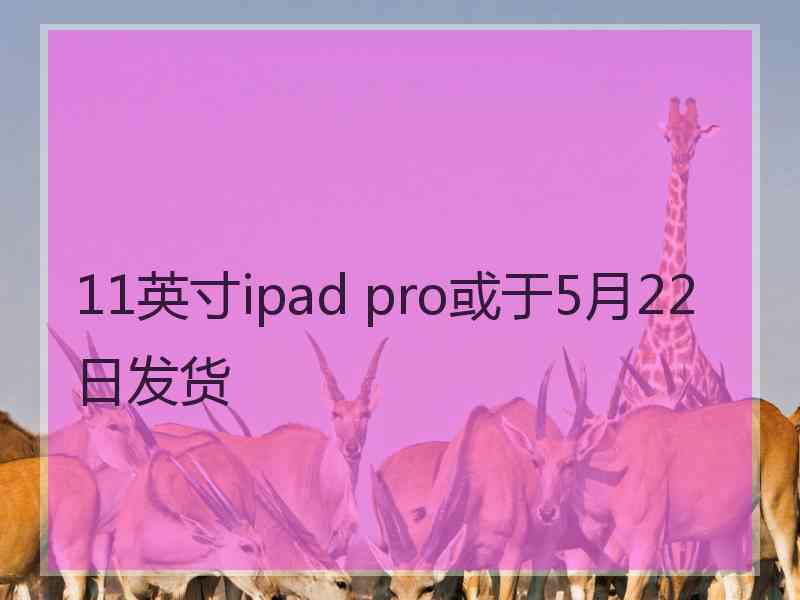 11英寸ipad pro或于5月22日发货