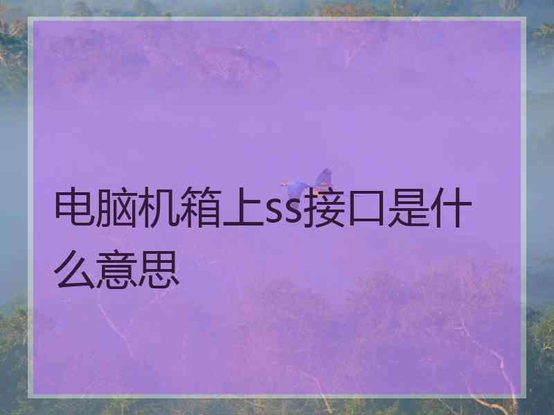 电脑机箱上ss接口是什么意思