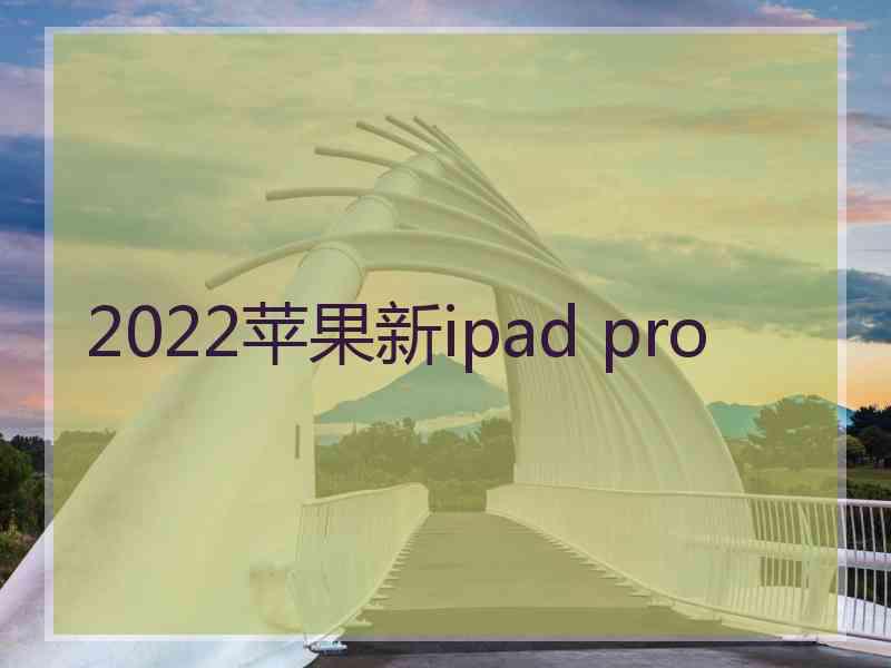 2022苹果新ipad pro