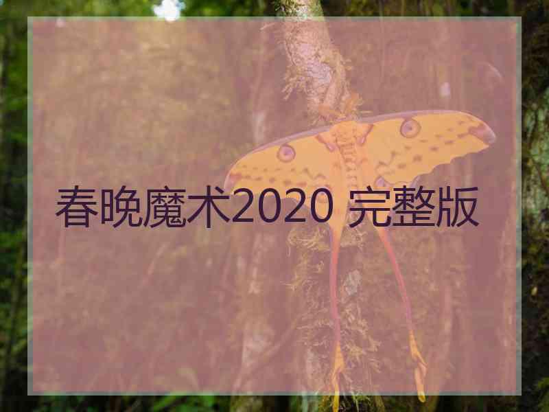 春晚魔术2020 完整版