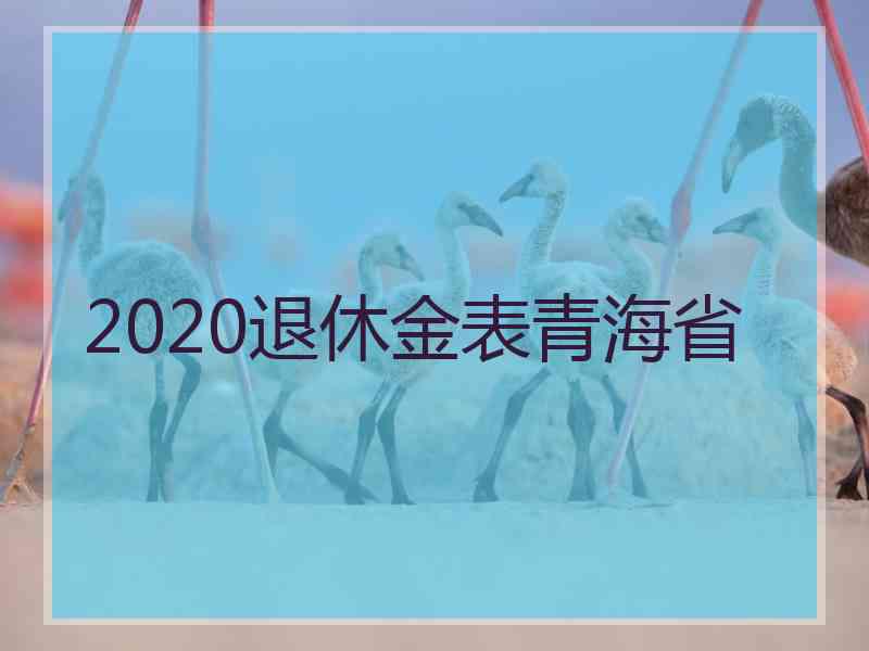 2020退休金表青海省