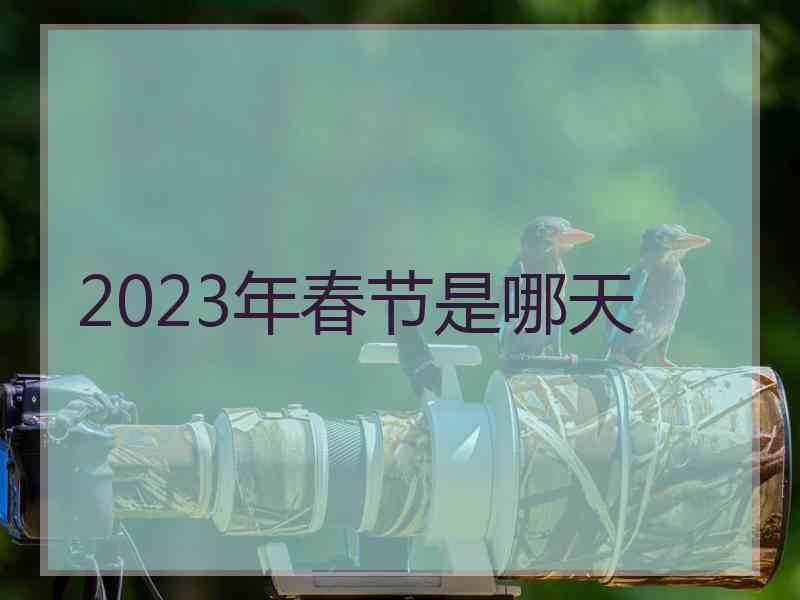 2023年春节是哪天