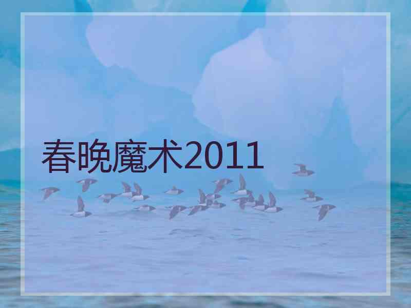 春晚魔术2011