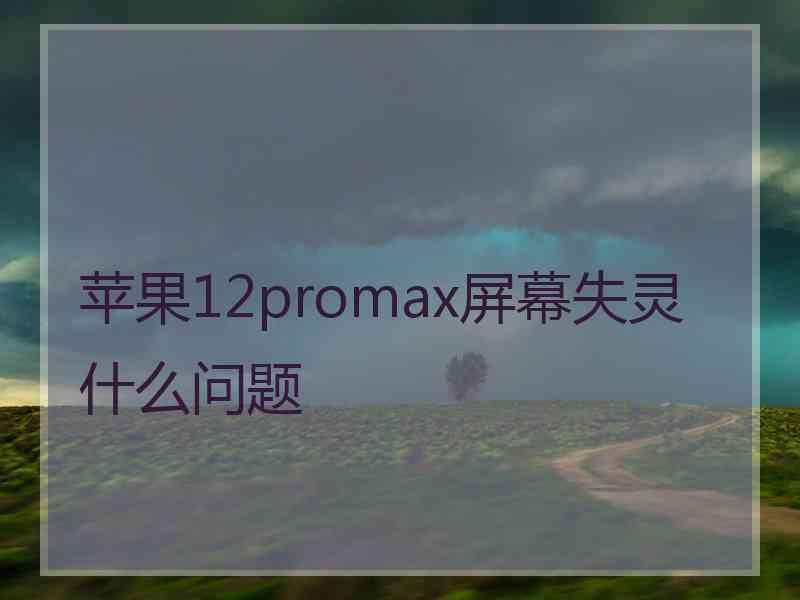 苹果12promax屏幕失灵什么问题