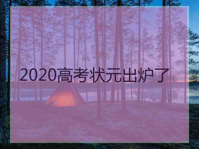 2020高考状元出炉了