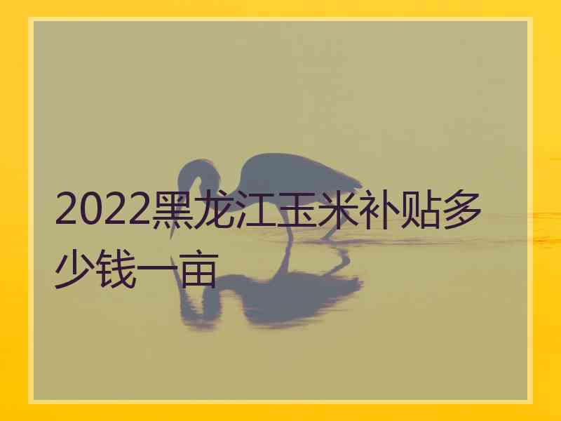 2022黑龙江玉米补贴多少钱一亩