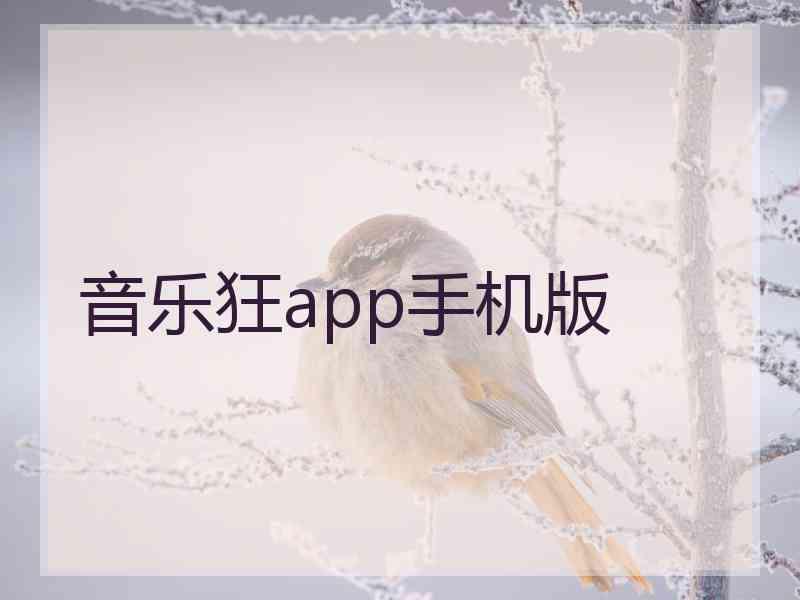 音乐狂app手机版