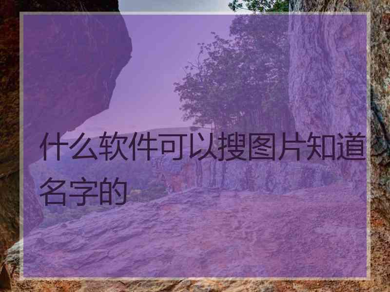 什么软件可以搜图片知道名字的