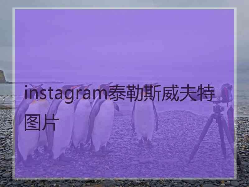 instagram泰勒斯威夫特图片