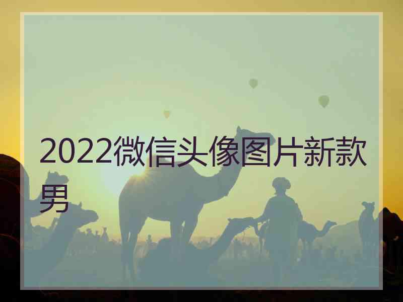 2022微信头像图片新款男