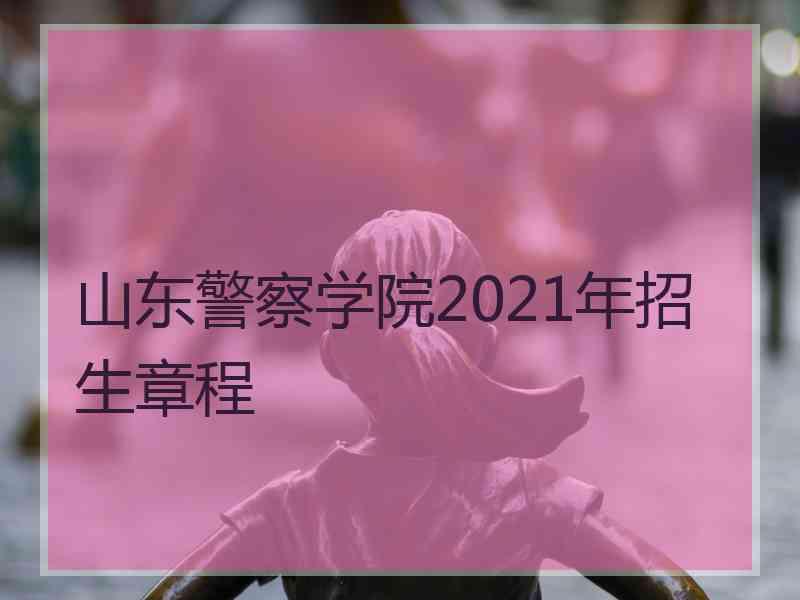 山东警察学院2021年招生章程