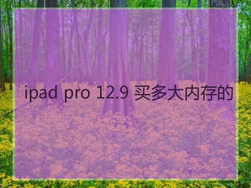 ipad pro 12.9 买多大内存的