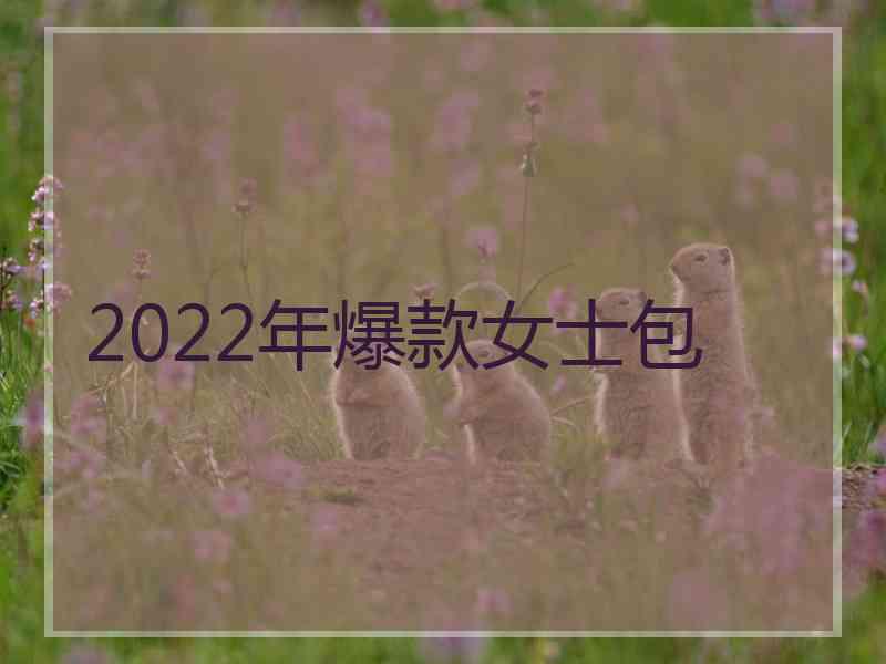 2022年爆款女士包