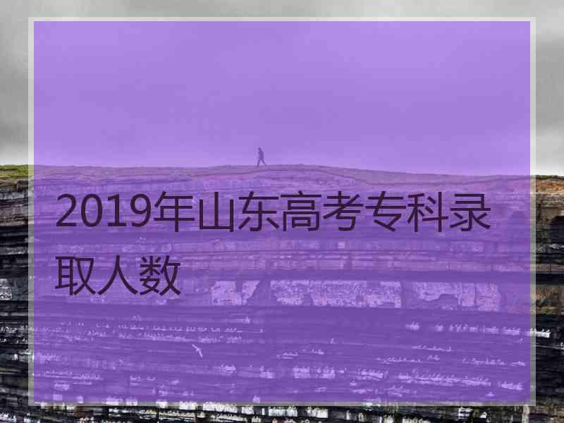 2019年山东高考专科录取人数