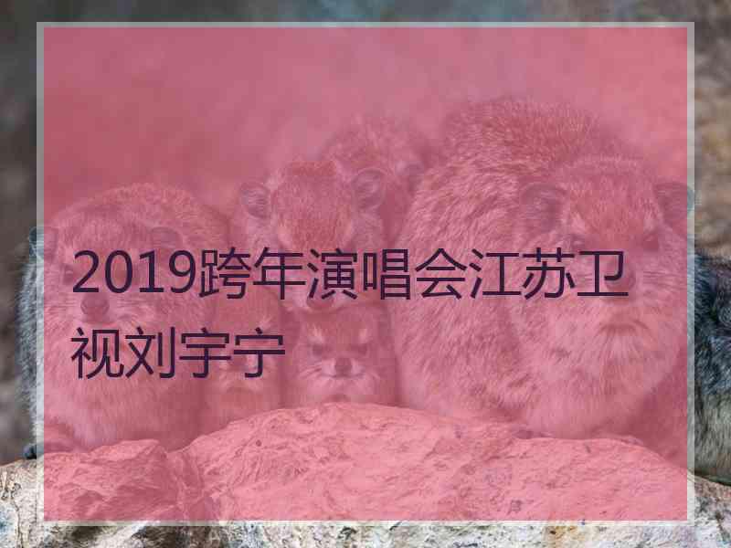 2019跨年演唱会江苏卫视刘宇宁