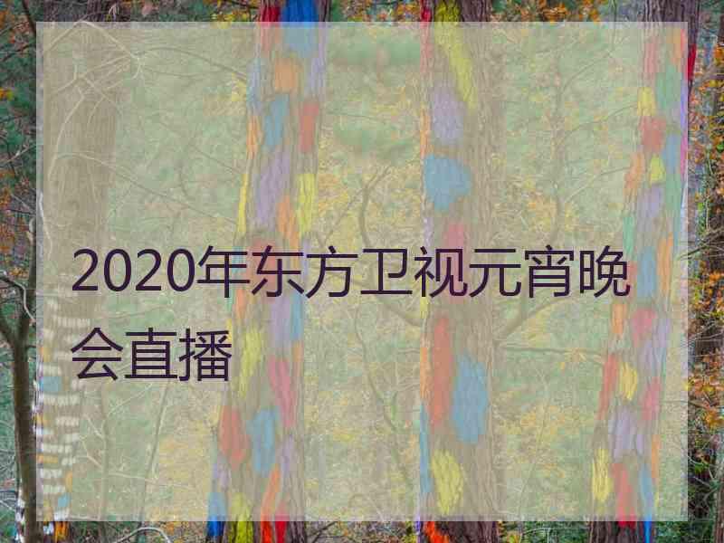 2020年东方卫视元宵晚会直播