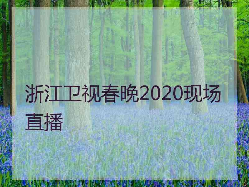 浙江卫视春晚2020现场直播