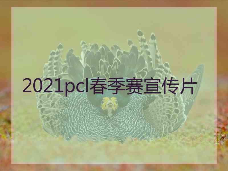 2021pcl春季赛宣传片