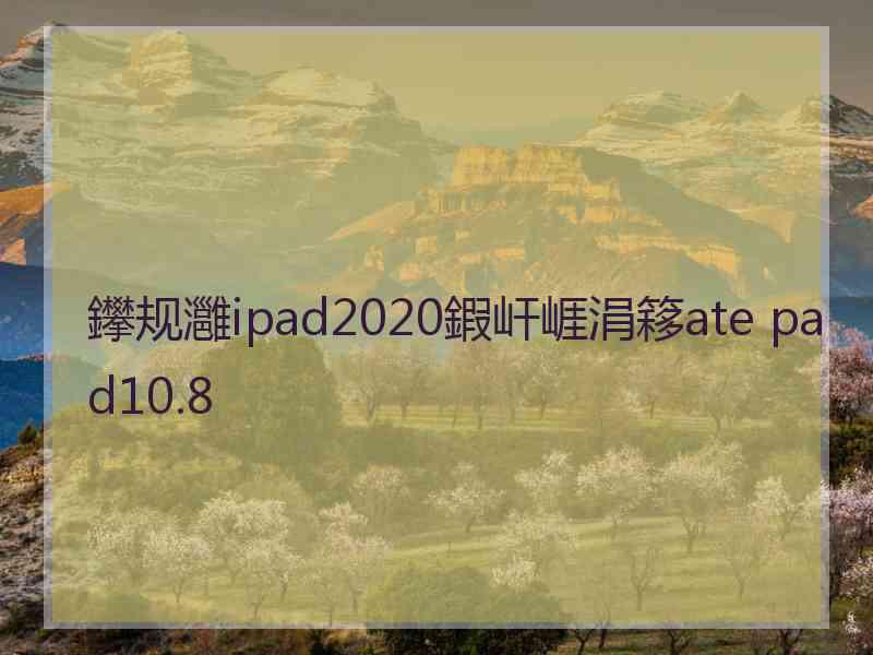 鑻规灉ipad2020鍜屽崕涓簃ate pad10.8