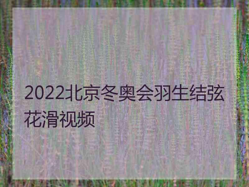 2022北京冬奥会羽生结弦花滑视频