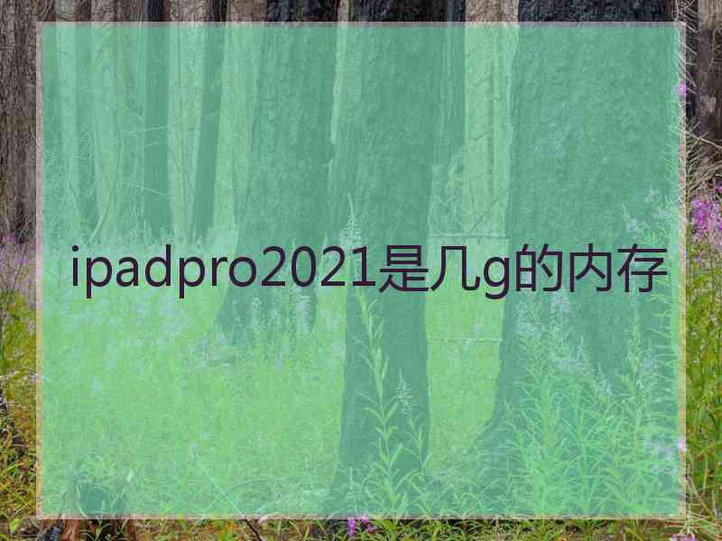 ipadpro2021是几g的内存