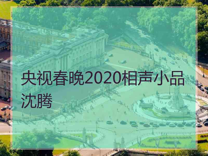 央视春晚2020相声小品沈腾