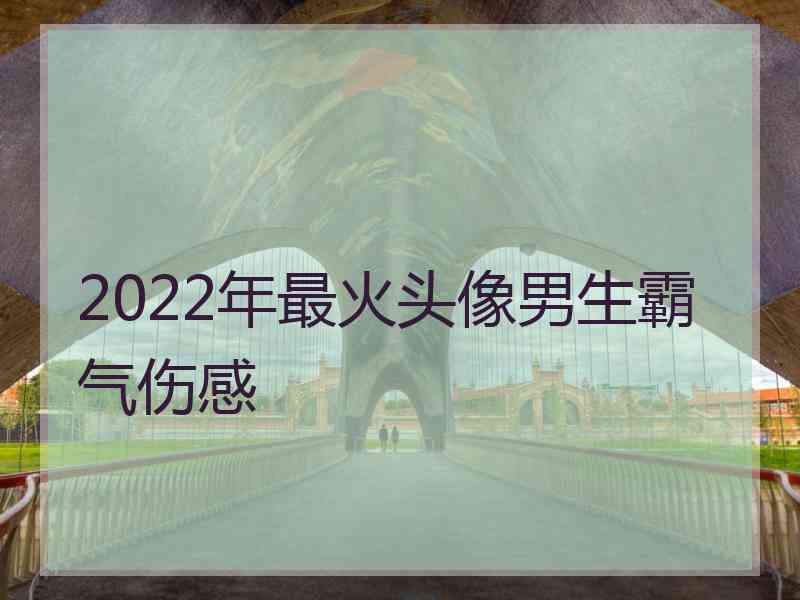 2022年最火头像男生霸气伤感