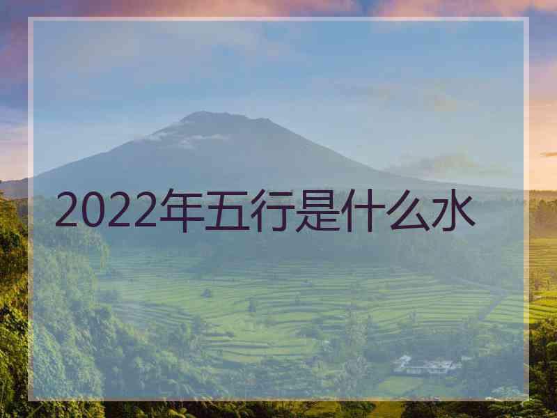 2022年五行是什么水