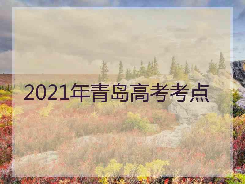 2021年青岛高考考点