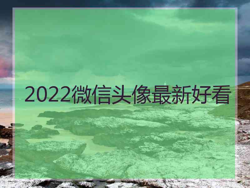 2022微信头像最新好看