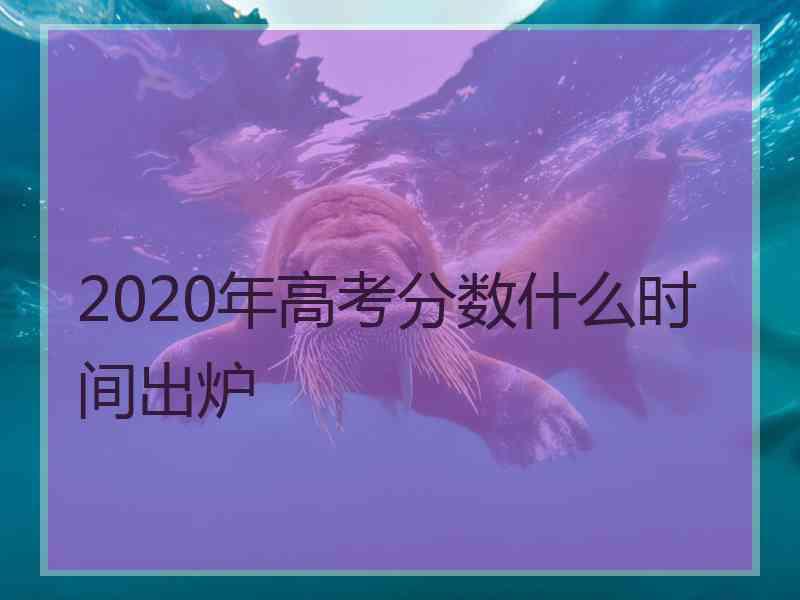 2020年高考分数什么时间出炉