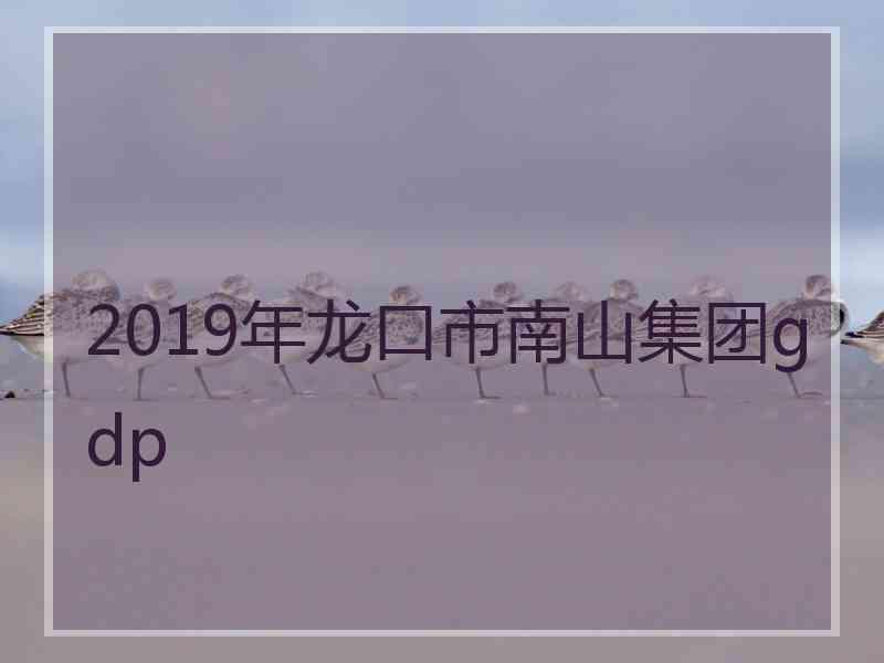 2019年龙口市南山集团gdp