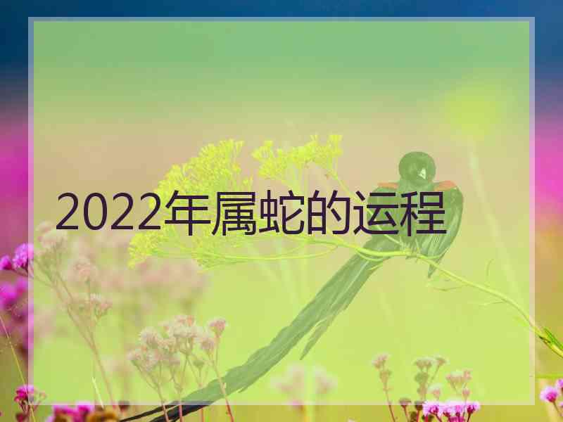 2022年属蛇的运程