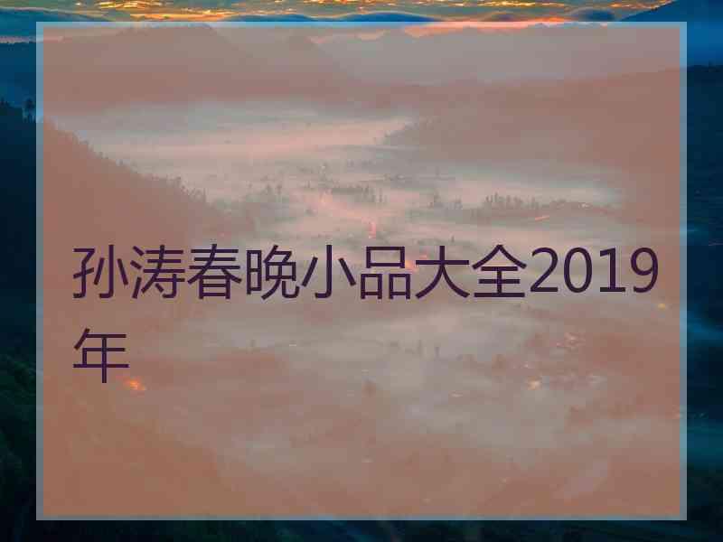 孙涛春晚小品大全2019年