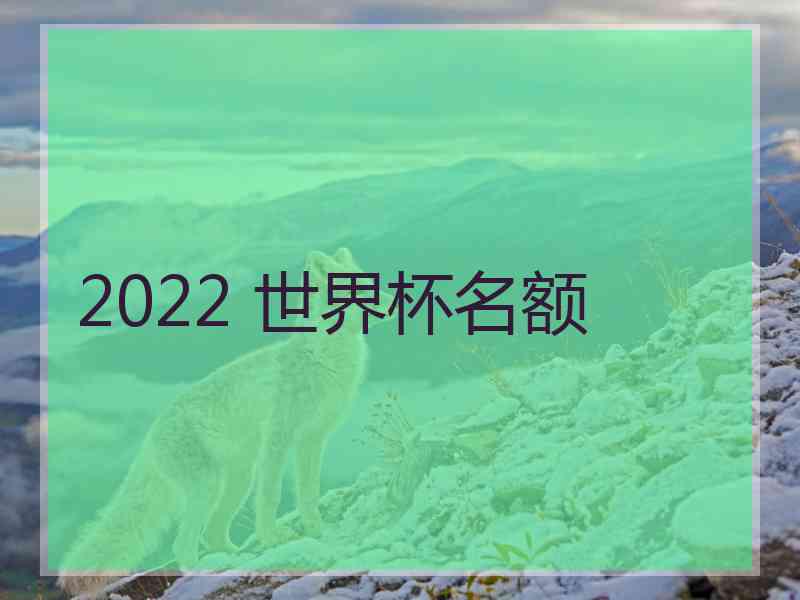 2022 世界杯名额