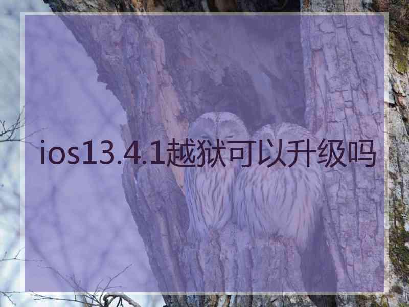 ios13.4.1越狱可以升级吗