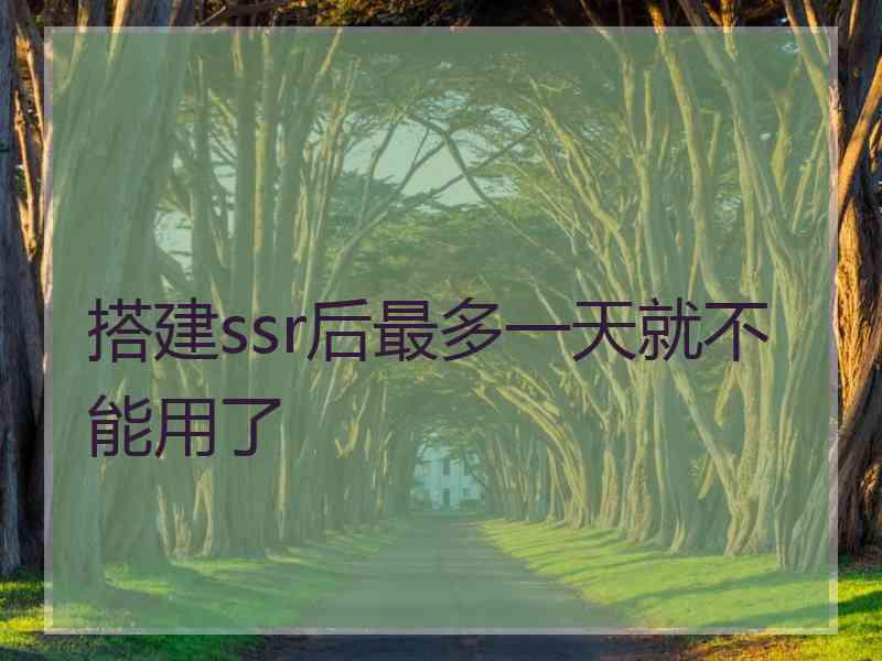 搭建ssr后最多一天就不能用了