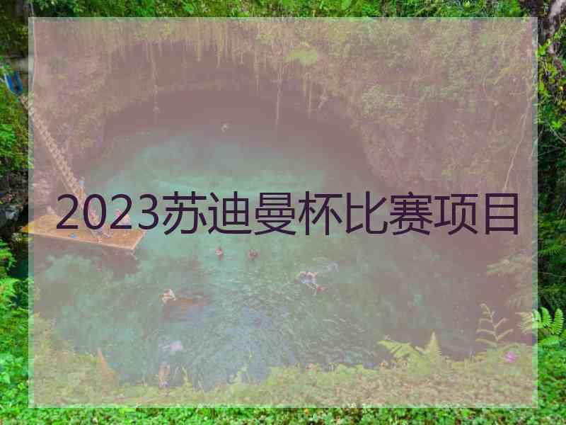 2023苏迪曼杯比赛项目