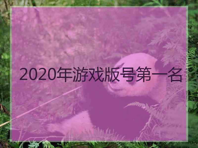 2020年游戏版号第一名