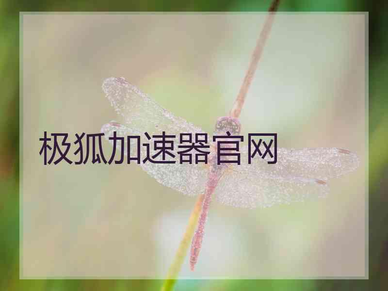 极狐加速器官网