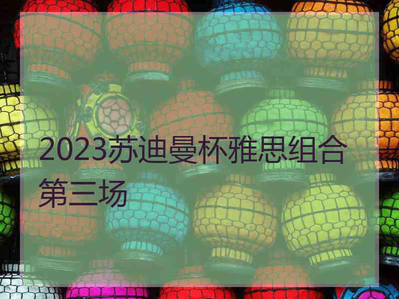 2023苏迪曼杯雅思组合第三场