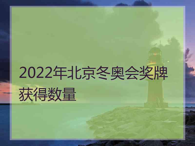 2022年北京冬奥会奖牌获得数量