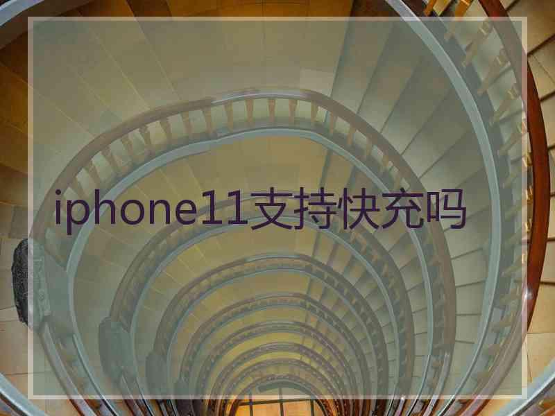 iphone11支持快充吗